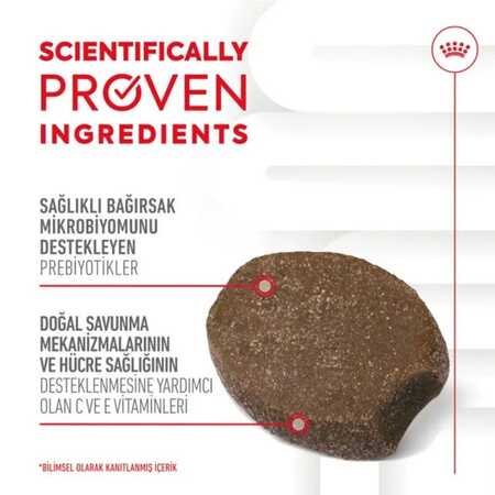 Royal Canin Bağışıklığı ve Sindirim Sistemini Destekleyen Tamamlayıcı Yavru Köpek Ödül Maması 100gr - Thumbnail