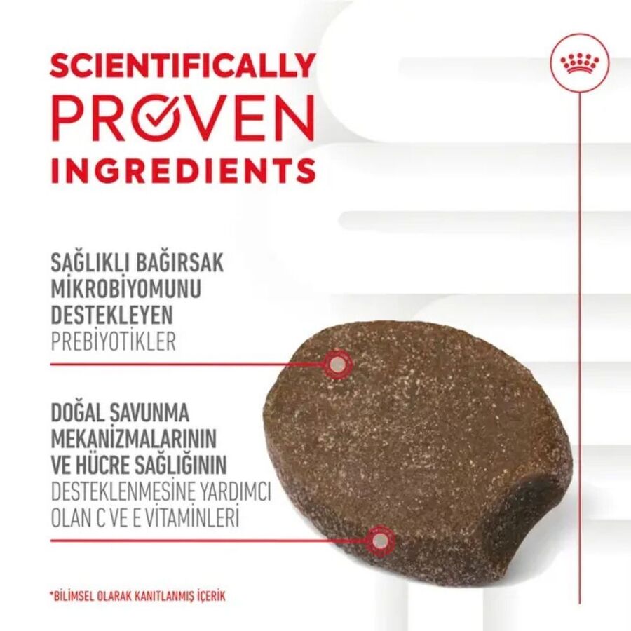 Royal Canin Bağışıklığı ve Sindirim Sistemini Destekleyen Tamamlayıcı Yavru Köpek Ödül Maması 100gr