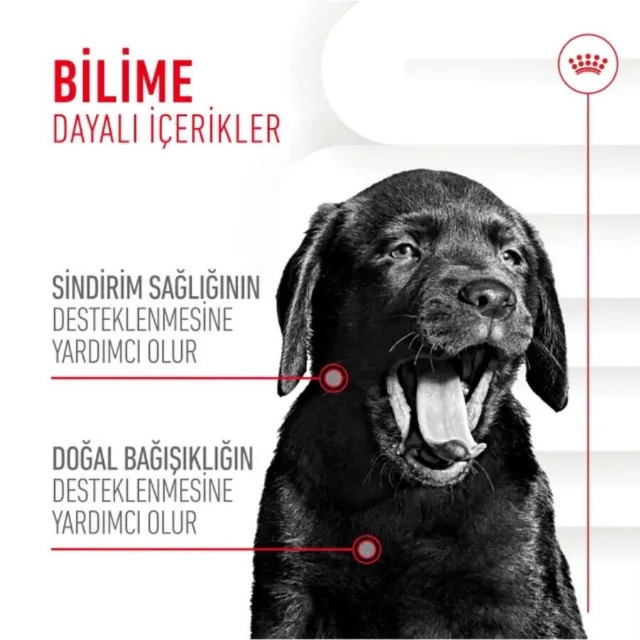Royal Canin Bağışıklığı ve Sindirim Sistemini Destekleyen Tamamlayıcı Yavru Köpek Ödül Maması 100gr