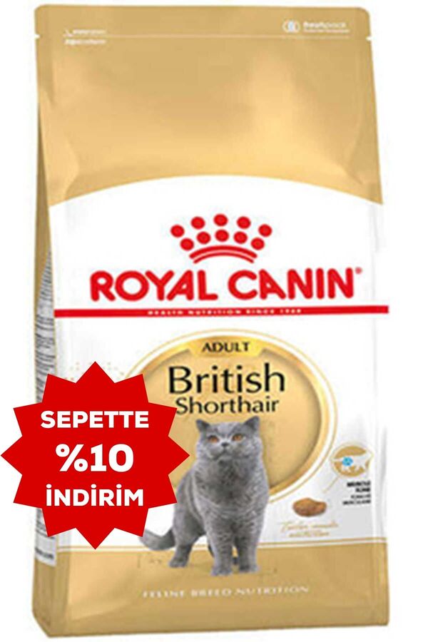 Royal Canin British Shorthair Adult Yetişkin Kedi Maması 10kg