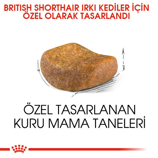 Royal Canin British Shorthair Adult Yetişkin Kedi Maması 2kg - 5