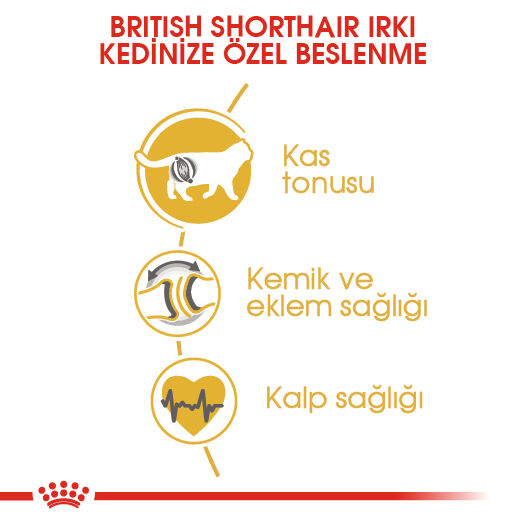 Royal Canin British Shorthair Adult Yetişkin Kedi Maması 2kg - 3