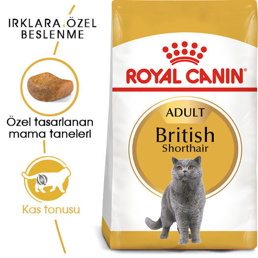 Royal Canin British Shorthair Adult Yetişkin Kedi Maması 2kg - 2