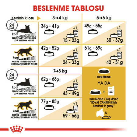 Royal Canin British Shorthair Adult Yetişkin Kedi Maması 2kg - 7