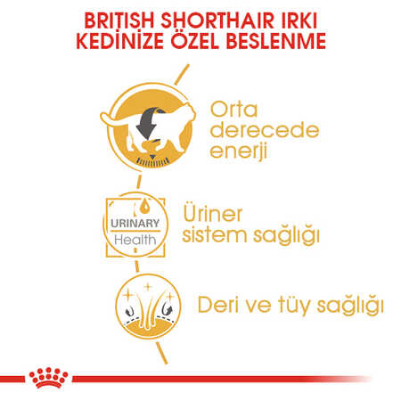 Royal Canin British Shorthair Yetişkin Kedi Konservesi 85gr - Thumbnail (2)