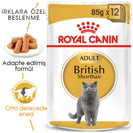 Royal Canin British Shorthair Yetişkin Kedi Konservesi 12x85gr 12li - Thumbnail (1)