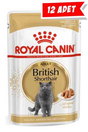 ROYAL CANIN - Royal Canin British Shorthair Yetişkin Kedi Konservesi 12x85gr 12li ROYAL CANIN - Royal Canin British Shorthair Yetişkin Kedi Konservesi 12x85gr 12li