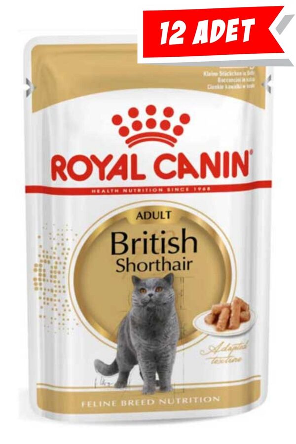 Royal Canin British Shorthair Yetişkin Kedi Konservesi 12x85gr 12li Royal Canin British Shorthair Yetişkin Kedi Konservesi 12x85gr 12li
