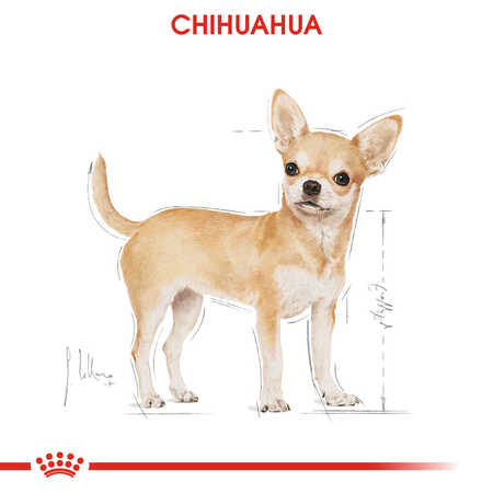 Royal Canin Chihuahua Yetişkin Köpek Konservesi 12x85gr 12li - Thumbnail