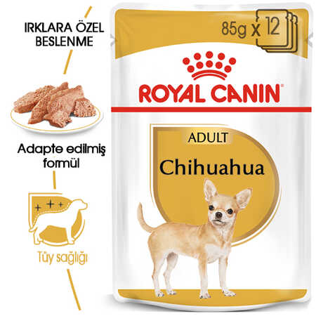 Royal Canin Chihuahua Yetişkin Köpek Konservesi 85gr - Thumbnail (1)