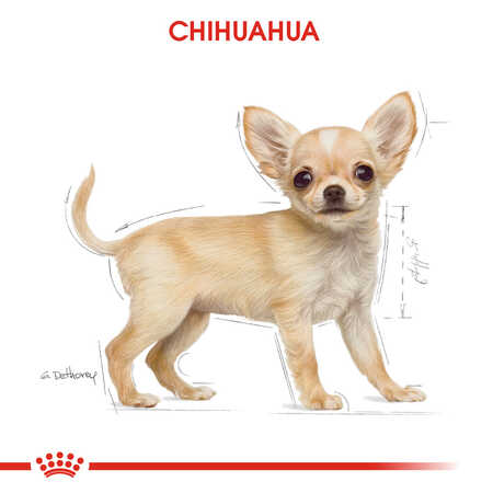 Royal Canin Chihuahua Puppy Yavru Köpek Maması 1,5kg - Thumbnail