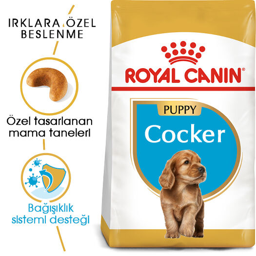 Royal Canin Cocker Puppy Yavru Köpek Maması 3kg