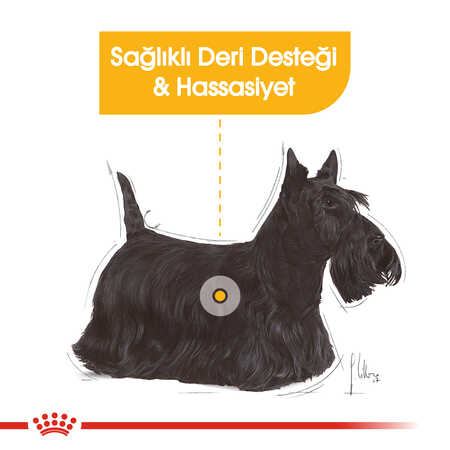 Royal Canin Dermacomfort Hassas Derili Köpek Konservesi 85gr - Thumbnail (2)