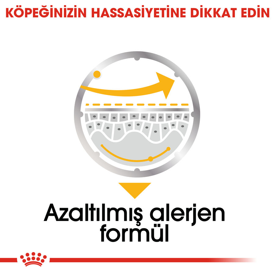 Royal Canin Dermacomfort Hassas Derili Köpek Konservesi 85gr