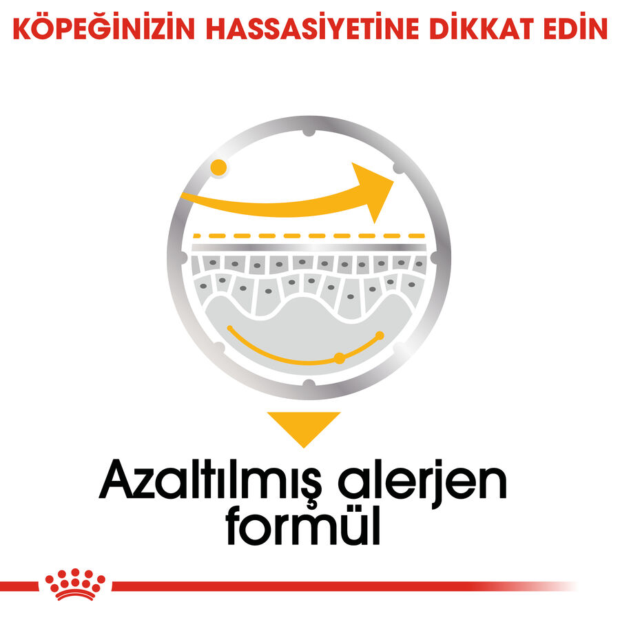 Royal Canin Dermacomfort Hassas Derili Yetişkin Köpek Konservesi 12x85gr (12li)