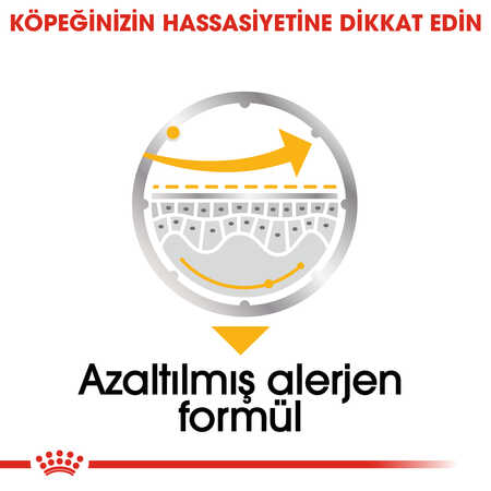 Royal Canin Dermacomfort Hassas Derili Köpek Konservesi 12x85gr 12li - Thumbnail