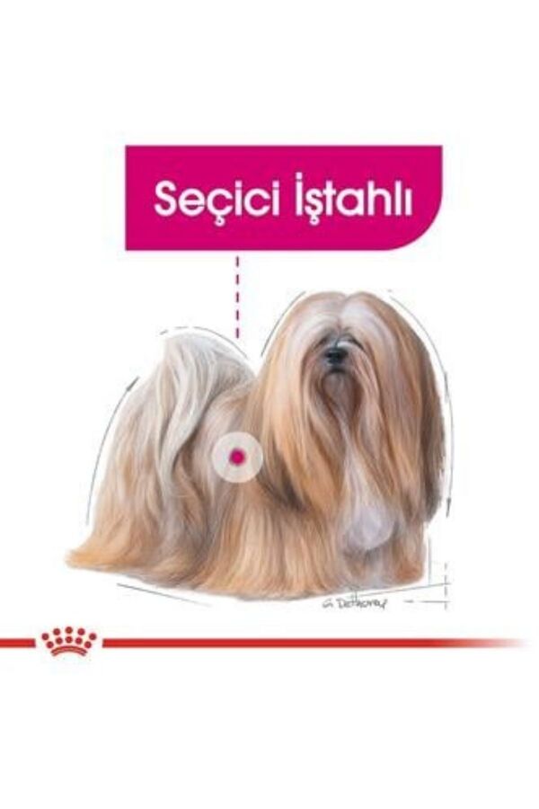 Royal Canin Exigent Seçici Köpek Konservesi 12x85gr (12li) Royal Canin Exigent Seçici Köpek Konservesi 12x85gr (12li)