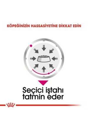 Royal Canin Exigent Seçici Köpek Konservesi 12x85gr (12li) - Thumbnail (3)
