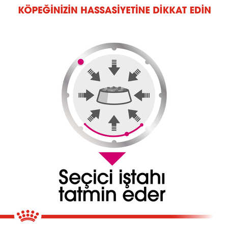 Royal Canin Exigent Seçici Köpek Konservesi 85gr - Thumbnail