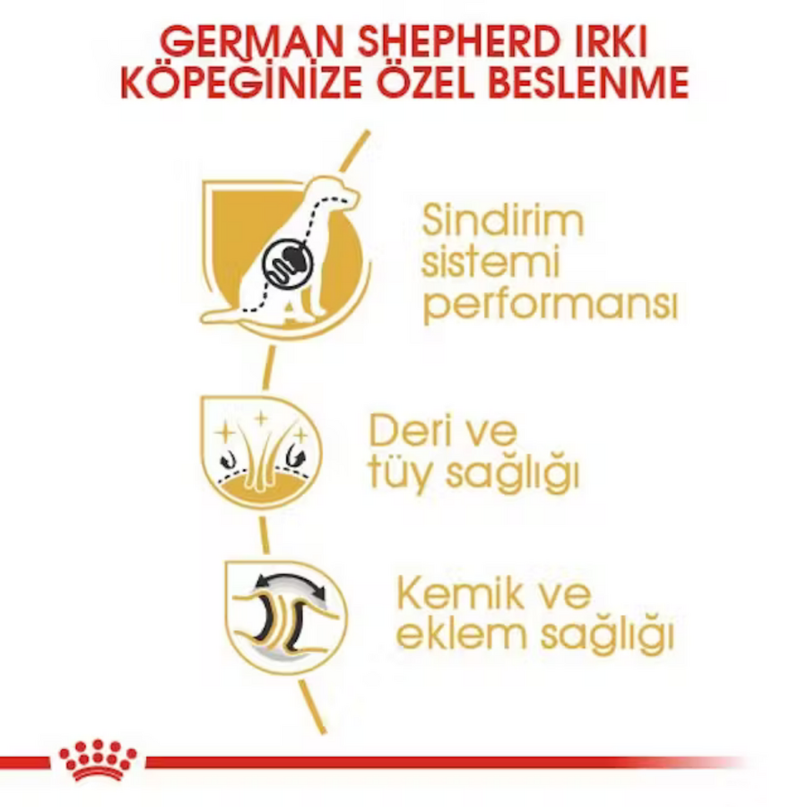 Royal Canin German Shepherd Alman Kurdu Yetişkin Köpek Maması 11kg