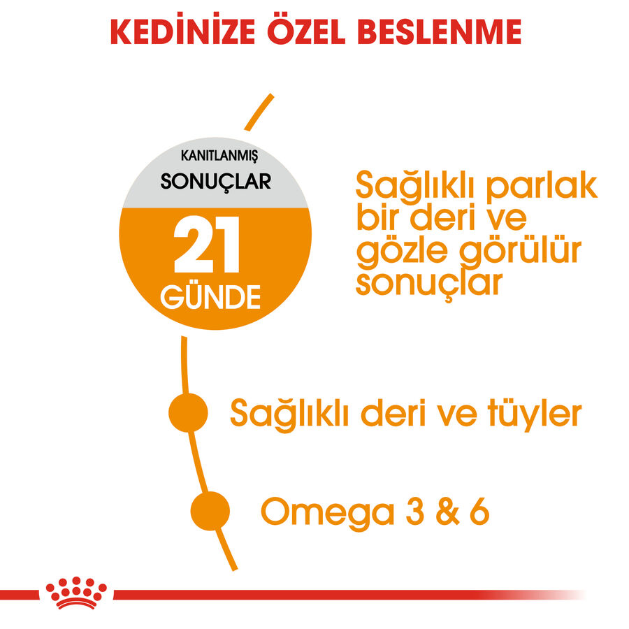 Royal Canin Hair & Skin Deri Ve Tüy Sağlığı İçin Yetişkin Kedi Maması 10kg - 4