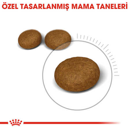 Royal Canin Hair & Skin Deri Ve Tüy Sağlığı İçin Yetişkin Kedi Maması 10kg - 6