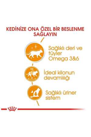 Royal Canin Hair & Skin Jöleli Kedi Konservesi 85gr - Thumbnail (2)