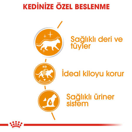 Royal Canin Hair&Skin Gravy Kedi Konservesi 12x85gr 12li - Thumbnail (2)