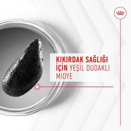 Royal Canin Eklem ve Sağlıklı Yaşlanma Destekleyici Köpek Ödülü 240gr - Thumbnail (3)