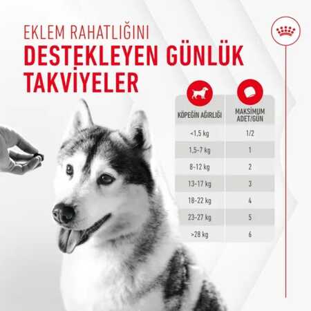 Royal Canin Eklem ve Sağlıklı Yaşlanma Destekleyici Köpek Ödülü 240gr - Thumbnail