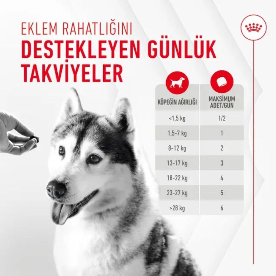Royal Canin Eklem ve Sağlıklı Yaşlanma Destekleyici Köpek Ödülü 240gr