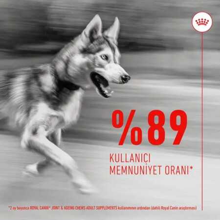 Royal Canin Eklem ve Sağlıklı Yaşlanma Destekleyici Köpek Ödülü 240gr - Thumbnail