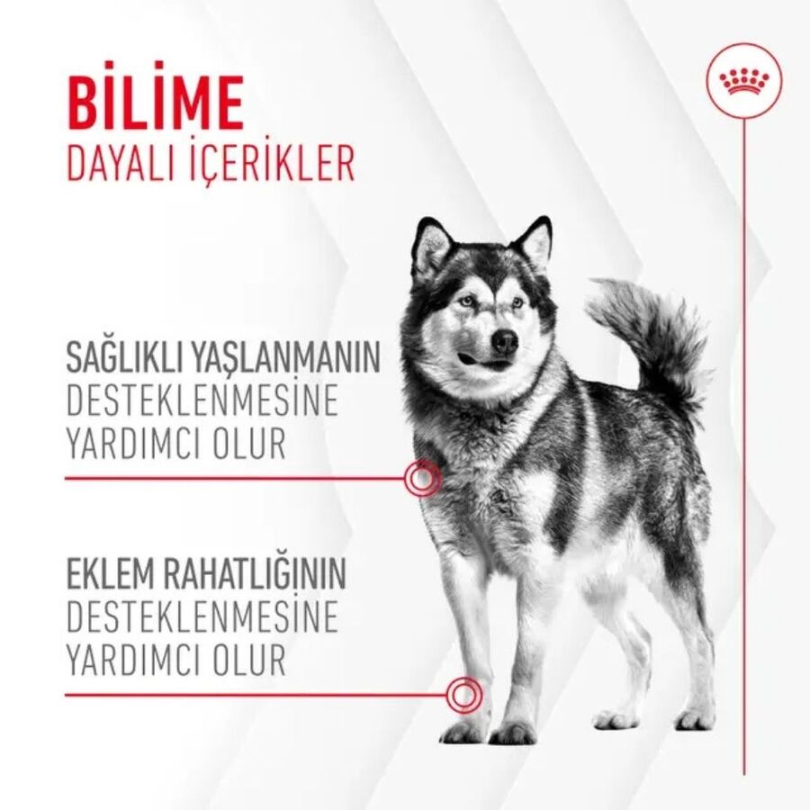 Royal Canin Eklem ve Sağlıklı Yaşlanma Destekleyici Köpek Ödülü 240gr