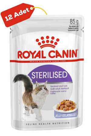 Royal Canin Jöleli Kısırlaştırılmış Kedi Konservesi 12x85gr 12li - Thumbnail