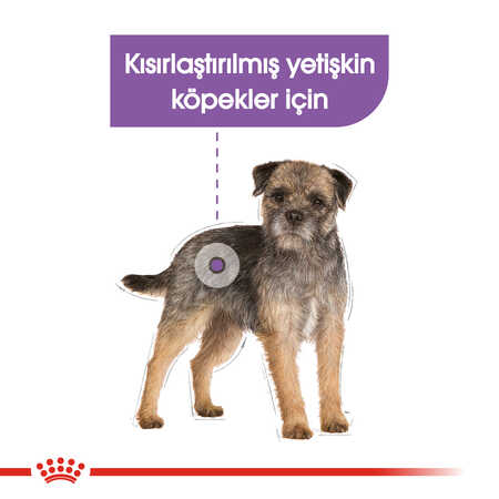 Royal Canin Kısırlaştırılmış Köpek Konservesi 85gr - Thumbnail (2)