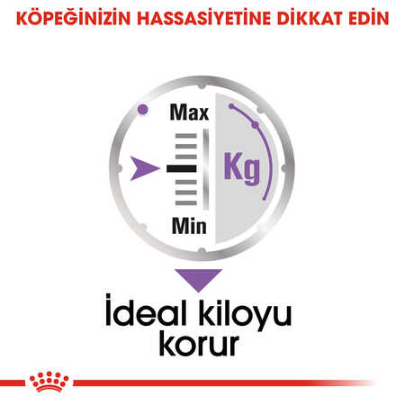Royal Canin Kısırlaştırılmış Köpek Konservesi 85gr - Thumbnail