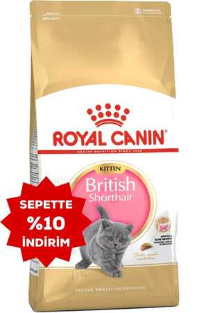 Royal Canin British Shorthair Kitten Yavru Kedi Maması 2kg