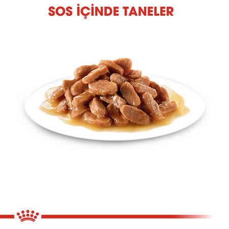 Royal Canin Kitten Gravy Yavru Kedi Konservesi 12x85gr 12li - Thumbnail (3)