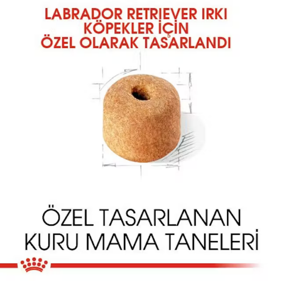 Royal Canin Labrador Retriever Yetişkin Köpek Maması 12kg