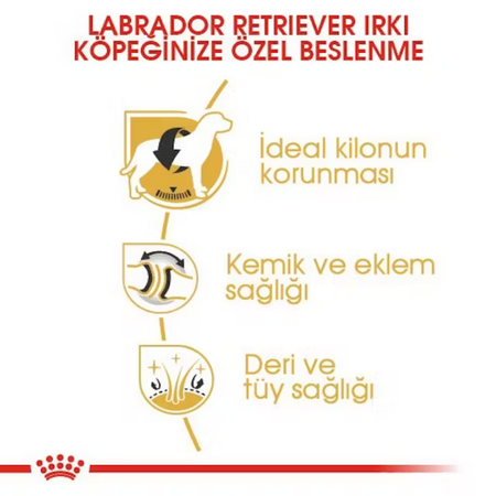 Royal Canin Labrador Retriever Yetişkin Köpek Maması 12kg - Thumbnail