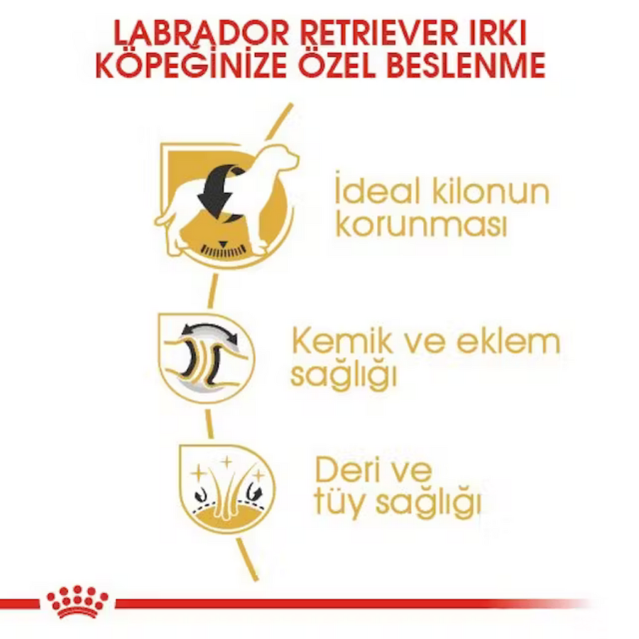 Royal Canin Labrador Retriever Yetişkin Köpek Maması 12kg