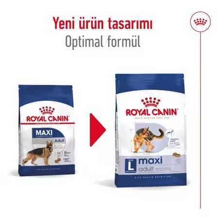 Royal Canin Maxi Adult Büyük Irk Yetişkin Köpek Maması 15kg - Thumbnail