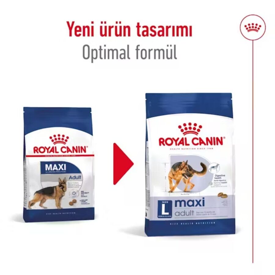 Royal Canin Maxi Adult Büyük Irk Yetişkin Köpek Maması 15kg