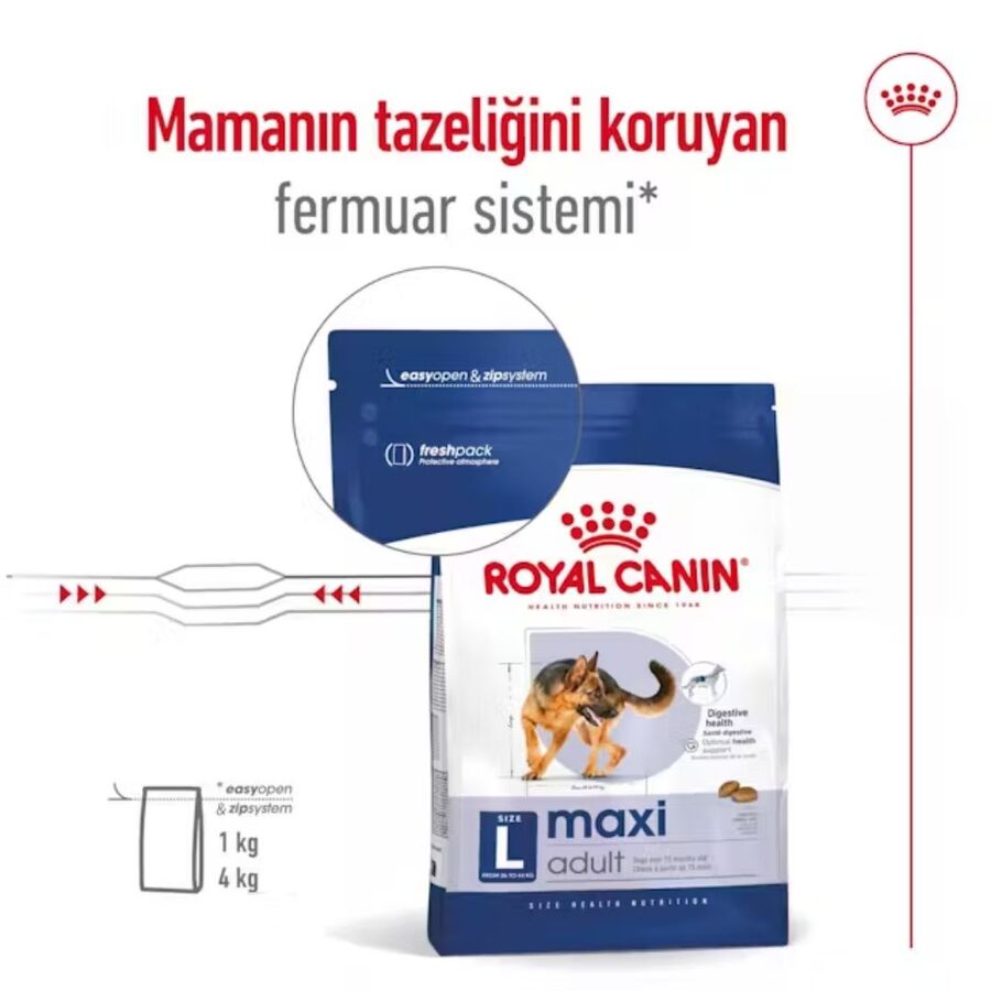Royal Canin Maxi Adult Büyük Irk Yetişkin Köpek Maması 15kg