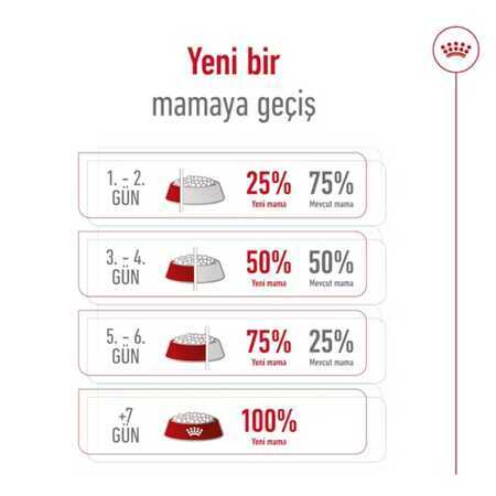Royal Canin Maxi Adult Büyük Irk Yetişkin Köpek Maması 15kg - Thumbnail