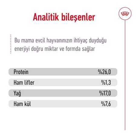 Royal Canin Maxi Adult Büyük Irk Yetişkin Köpek Maması 15kg - Thumbnail