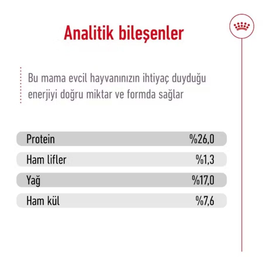 Royal Canin Maxi Adult Büyük Irk Yetişkin Köpek Maması 15kg