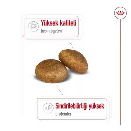 Royal Canin Maxi Adult Büyük Irk Yetişkin Köpek Maması 15kg - Thumbnail