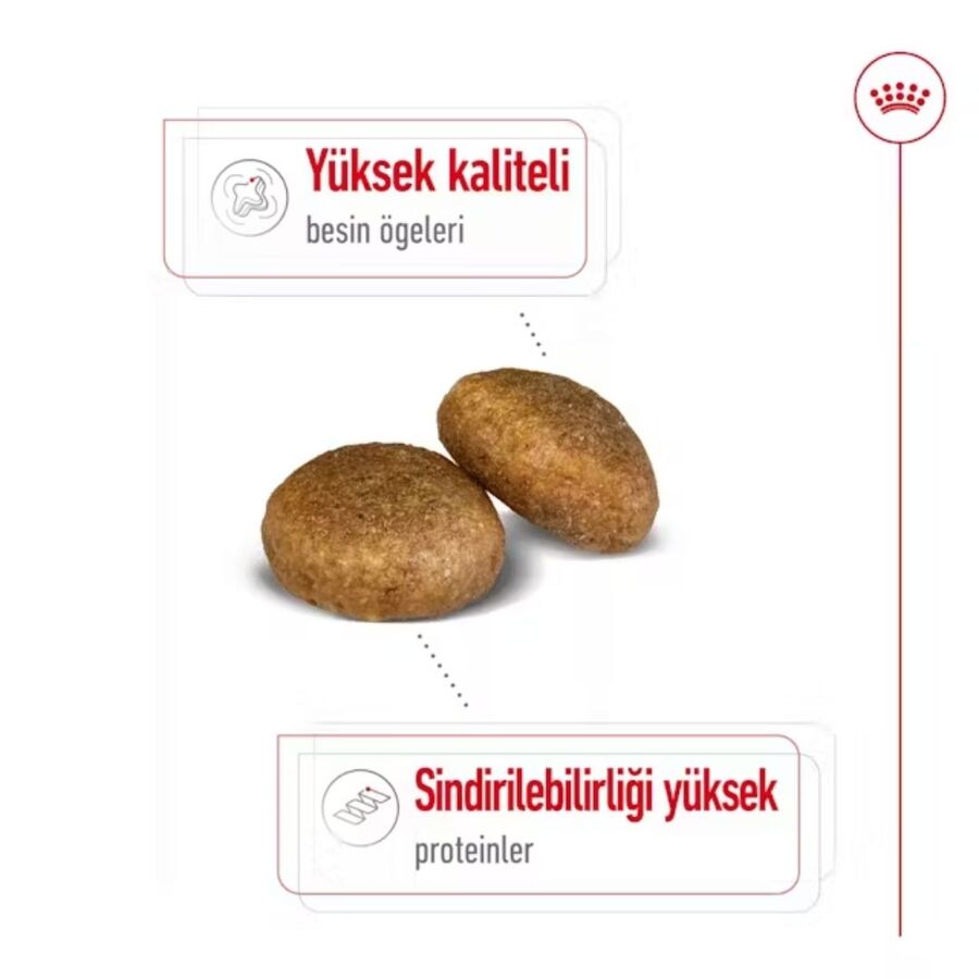 Royal Canin Maxi Adult Büyük Irk Yetişkin Köpek Maması 15kg