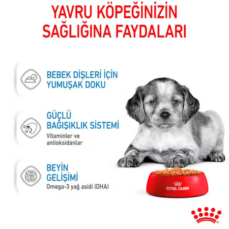 Royal Canin Orta Irk Yavru Köpek Konservesi 140gr - Thumbnail